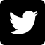 twitter-logo